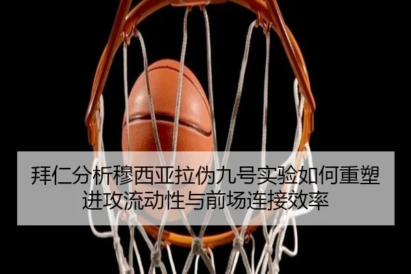 img_1782168379223_1525_1_528.jpg